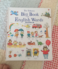 �� ���»汾�¡����󵥴��顷