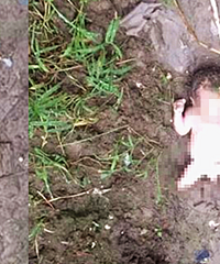 心疼!泥地惊现男弃婴 没穿衣服满身都是泥…