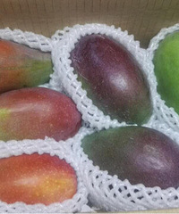 �����ҵ�â����̫Ư���ˣ��𵽱�