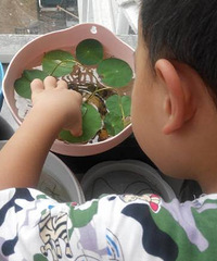 ��Ҫ�μ�����