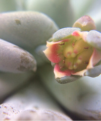 Խ��Խ��欣�Ť��������