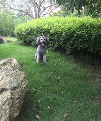 ��Ѱ����ʾ���Ҽ��߶��Ļ�̩�Ϲ���6��11�����ִ�4s