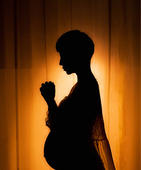 ɹɹ�����մ���գ���Ԥ������7.24.��