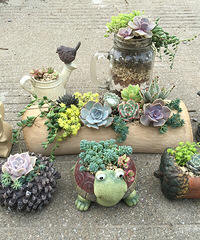 �����Ƕ���������