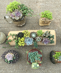 �����Ƕ���������