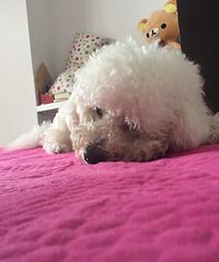 #�ȳ����#+�����