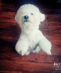 #�ȳ����#+�����