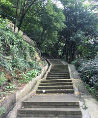 ���������������ϰ��˯���������������ɽ��