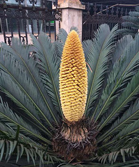 ��������������һ�ο�������