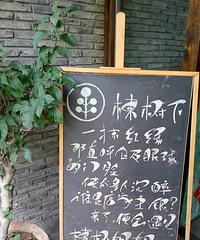 嘉兴+楝树下+偷得浮生半日闲