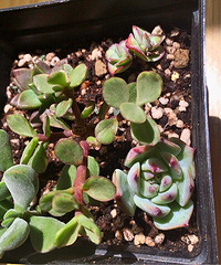 ����������ʼ�����������Ͱɣ�������