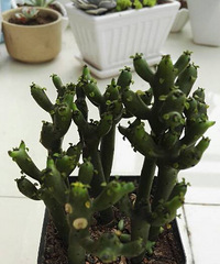 ��·�߿�����һ�����̲���������