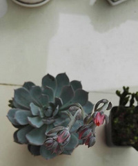 ��·�߿�����һ�����̲���������