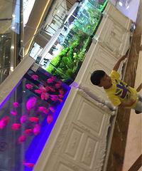 ��ת�ɱ�����