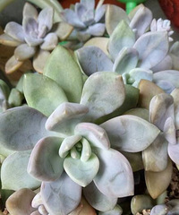 ��֪������ⲻ�����������̲�ס������