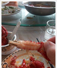 稻哥龙虾