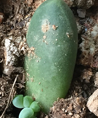 ���ǵ�һ���Զ��⣬���������������֣�����