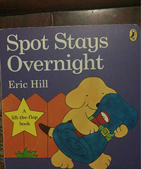 ���»汾�¡�spot stay overnight��