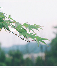 �õ�������