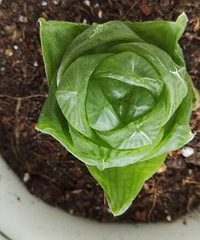 ͣ�������Ľ���