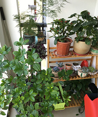 ���ӻ�����