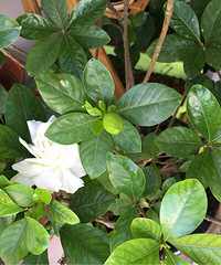 ���ӻ�����