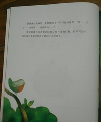 �����»汾�¡����޵�èͷӥ