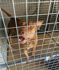 �ҼҵĶ�����