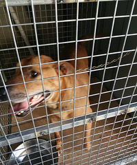 �ҼҵĶ�����