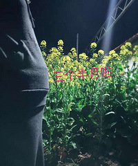 ��������55�ţ���Ͷ���㱦���һƱ