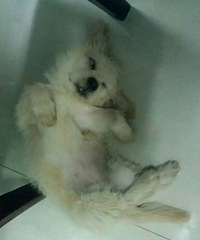 #�ȳ����#�����۸���