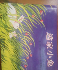 �����»汾�¡��Ӽ�С��