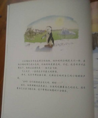 �����»汾�¡���������