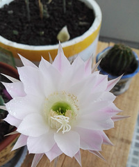 �²�����ʲô��