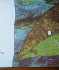 �����»汾�¡��ö���ëë��