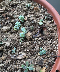 Ҳ��֪��Ϊɶ���о����Ƕ��첻���ˡ���