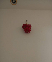 ���ŷ�����仨�������ܲ��ܱ���ɫ��