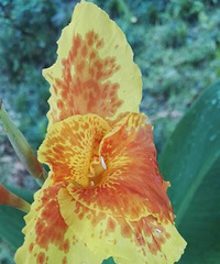 ���˻���Ư��