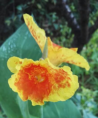 ���˻���Ư��