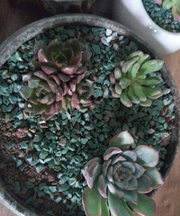 ��������⣬ϣ���ܻ�