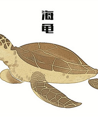 水族馆最受欢迎TOP6