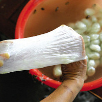 小兜大兜,清水悠悠