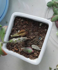 �̺�����֮�����ջԡ���