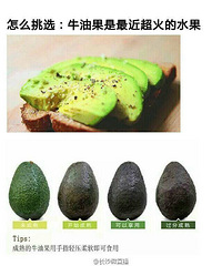 "教你如何高大上的去吃“牛油果”"