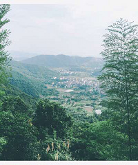 �����ã�����