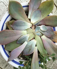 �����ٺ�Ҳû�ã����������ҿ�