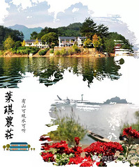 我要自荐+叶琪农庄