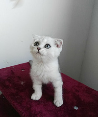 ������ֻ�ܵ�3��21������ֻ��4/15һ