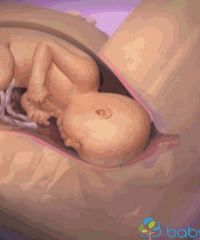 "女人生孩子全过程!妈妈痛不欲生时,宝宝竟在子宫里"