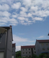 �������ư�